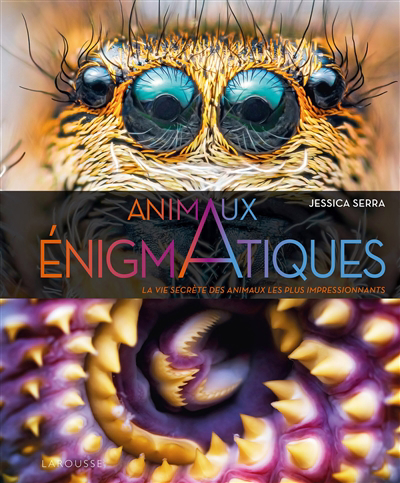 Animaux énigmatiques