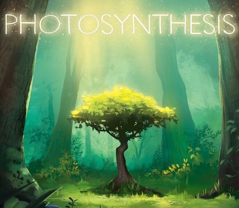 Photosynthesis